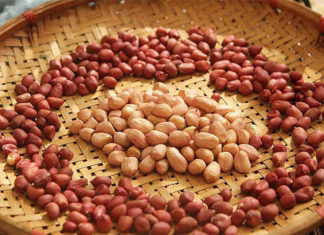 The Great Nut Debate: Unveiling the Truth About Red and White Seeds.