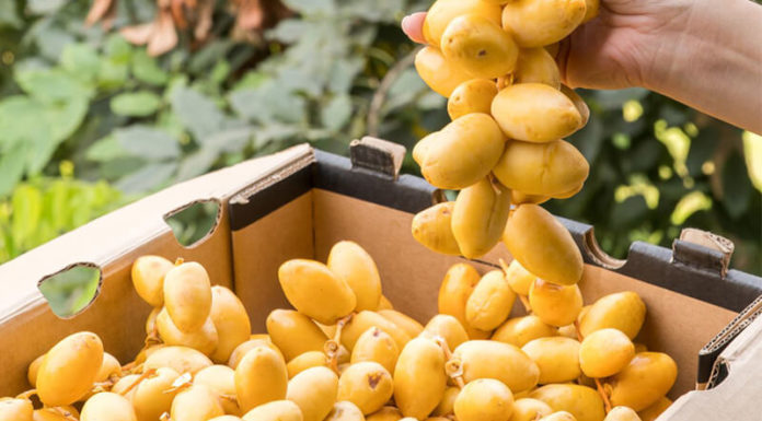 Is It Safe for Pregnant Women to Eat Dates? 8 Benefits of Dates for Expectant Mothers