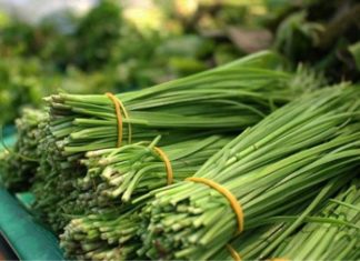 Is Eating Chives Safe During Pregnancy? What You Need to Know.