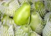 Is It Safe for Pregnant Women to Eat Chayote? Benefits of Eating This Vegetable During Pregnancy