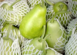 Is It Safe for Pregnant Women to Eat Chayote? Benefits of Eating This Vegetable During Pregnancy