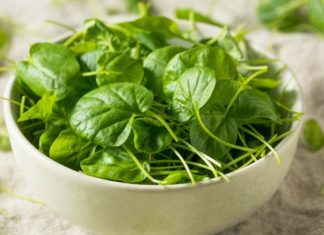 Is Watercress Safe for Pregnant Women? Benefits of Watercress for Expectant Mothers.