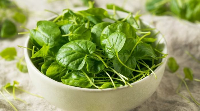 Is Watercress Safe for Pregnant Women? Benefits of Watercress for Expectant Mothers.