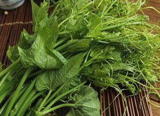 Is Eating Fiddlehead Okra Safe for Pregnant Women? A Word of Caution for Expectant Mothers.