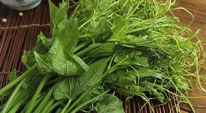 Is Eating Fiddlehead Okra Safe for Pregnant Women? A Word of Caution for Expectant Mothers.