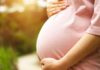 Is a Vegan Diet Safe for Pregnant Women? Ensuring a Nutritious Vegan Pregnancy