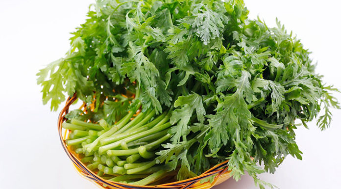 Is It Safe for Pregnant Women to Eat Basella Alba?