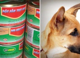 Debunking the Canned Dog Meat Factory in Ninh Binh