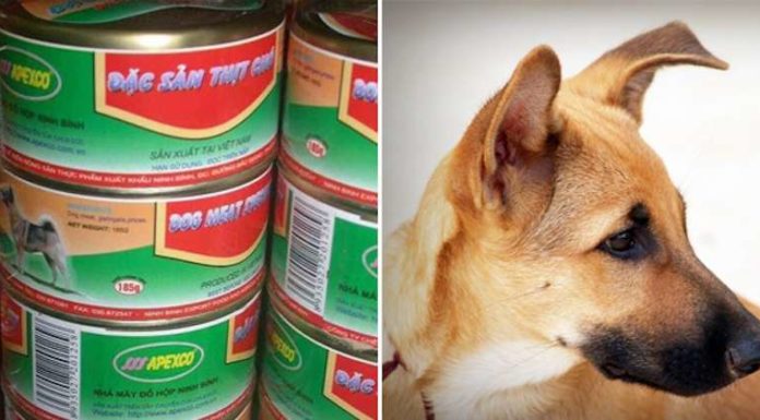 Debunking the Canned Dog Meat Factory in Ninh Binh