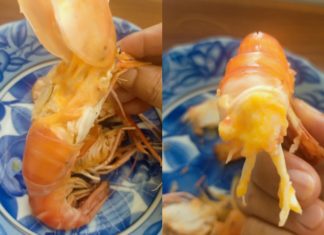 Are You Sure You Can Distinguish Between Bricks and Shrimp Waste?