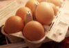 Are You Storing Your Eggs the Right Way?