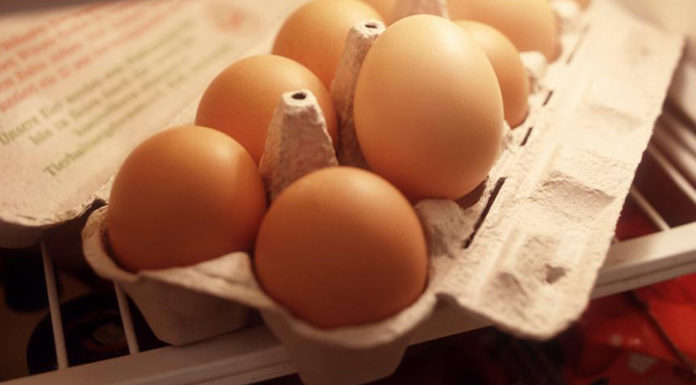 Are You Storing Your Eggs the Right Way?