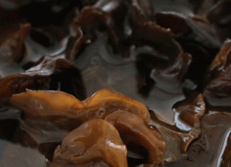 Have You Been Using Dried Shiitake Mushrooms Correctly?