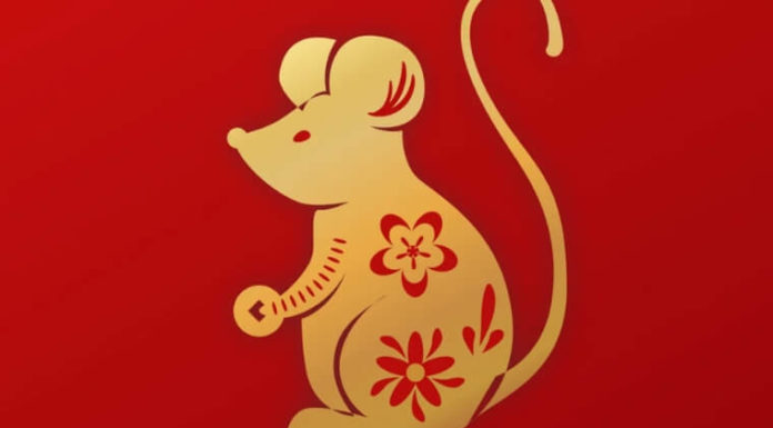 The Ultimate 2023 Horoscope Forecast for the Chinese Zodiac
