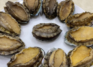 How Much Do Sea Cucumbers Cost? Where to Buy Sea Cucumbers at a Bargain?