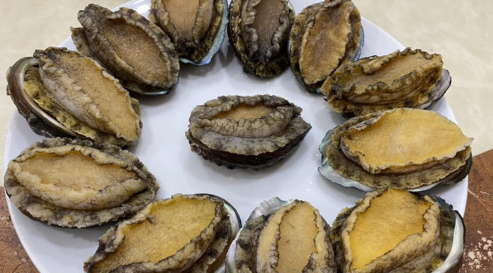 How Much Do Sea Cucumbers Cost? Where to Buy Sea Cucumbers at a Bargain?