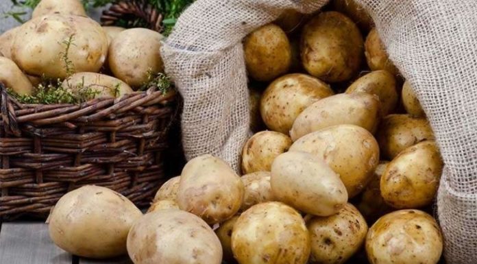 A Glimpse at 8 Foods You Should Never Freeze