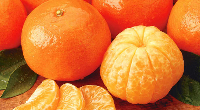 An Eye-Catching Citrus Display