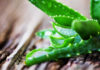 The Ultimate Guide to Preparing Aloe Vera Without the Bitter Taste