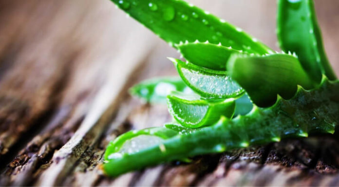 The Ultimate Guide to Preparing Aloe Vera Without the Bitter Taste