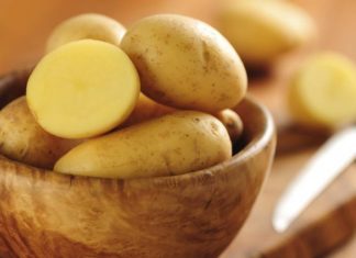 The Ultimate Guide to Making Delicious Stews: Quick and Easy Recipes