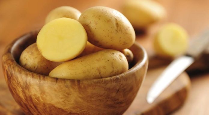 The Ultimate Guide to Making Delicious Stews: Quick and Easy Recipes