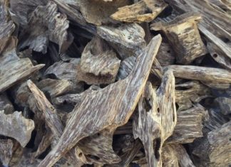 The Ultimate Guide to Authentic Agarwood Bracelets for First-Time Buyers