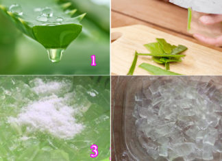 The Dangers of Misusing Aloe Vera: A Cautionary Tale