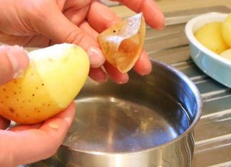 The Ultimate Guide to Peeling Fruits and Veggies Like a Pro