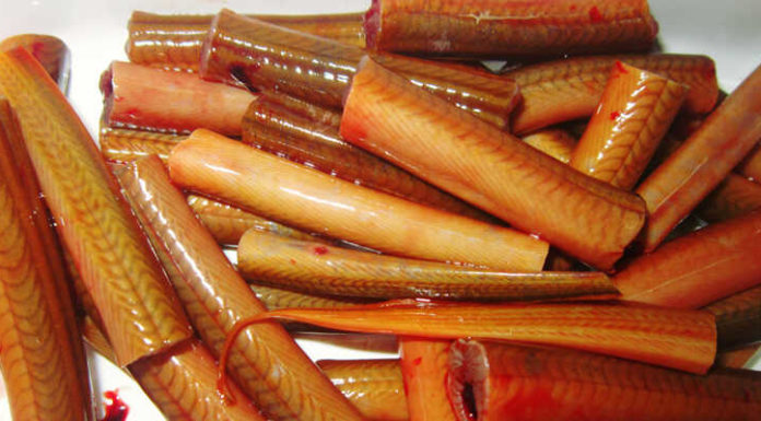 The Ultimate Guide to Selecting and Preparing Delicious Eels