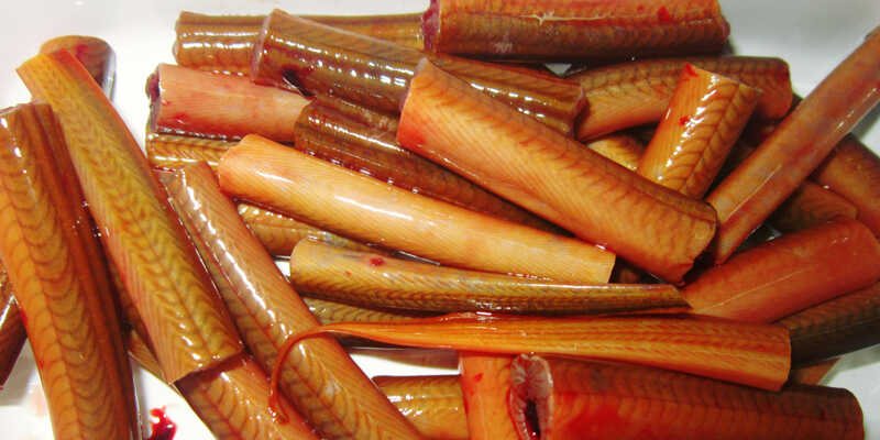 The Ultimate Guide to Selecting and Preparing Delicious Eels