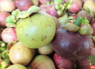 The Ultimate Guide to Choosing the Sweetest Mangosteen: 10 Out of 10 Perfection