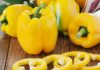 The Ultimate Guide to Selecting, Storing, and Cooking with Bell Peppers
