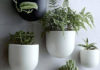 The Green Thumb’s Guide to Perfectly Preened Hanging Gardens