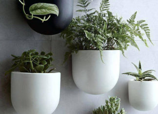 The Green Thumb’s Guide to Perfectly Preened Hanging Gardens