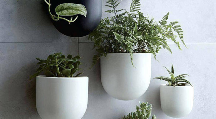 The Green Thumb’s Guide to Perfectly Preened Hanging Gardens