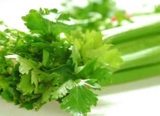 The Secret to Keeping Your Veggies Fresher for Longer