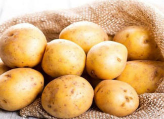 The Ultimate Guide for a Sparkling Clean: Impress Your Partner This March 8th with a Spotless Floor