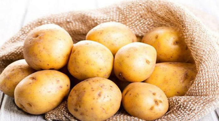 The Ultimate Guide for a Sparkling Clean: Impress Your Partner This March 8th with a Spotless Floor