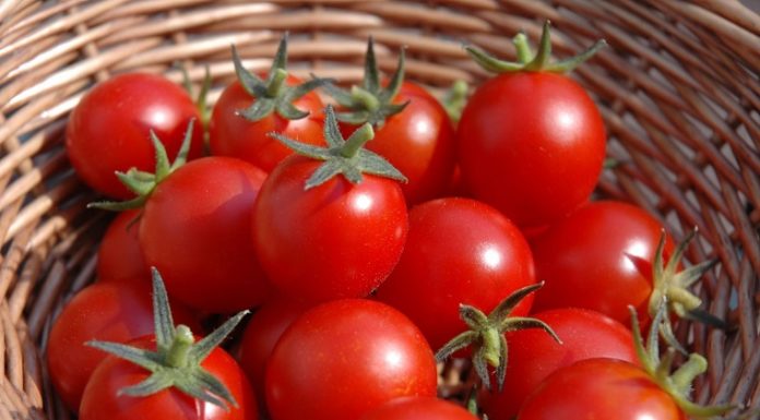 The Ultimate Guide to Achieving Flawless Skin: Unlocking the Power of Tomatoes for Effective Skin Whitening