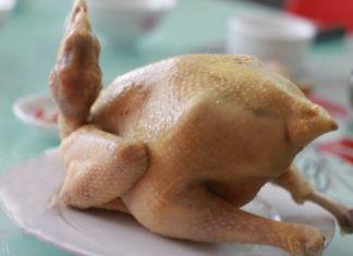 The Definitive Handbook to Odorless Duck and Chicken Floaters Cleaning