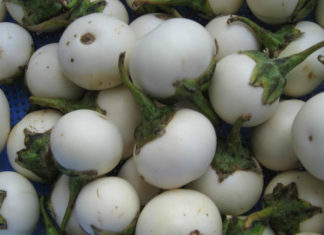 The Ultimate Guide to Crunchy, Delicious Pickled Vegetables