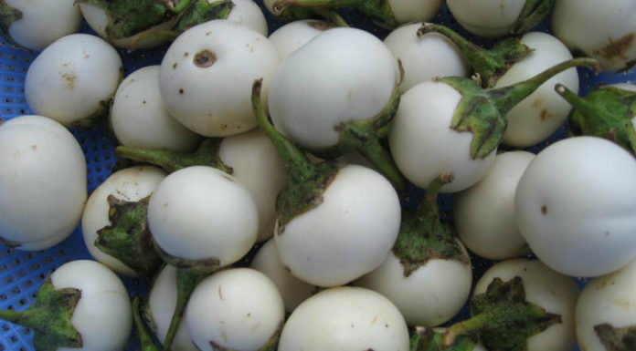 The Ultimate Guide to Crunchy, Delicious Pickled Vegetables