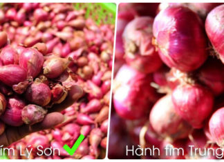 The Ultimate Guide to Pickling Shallots: A Beautiful and Delicious Treat