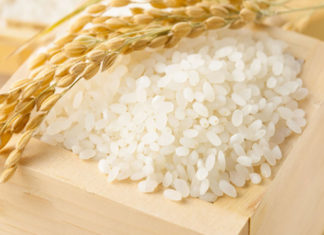 The Ultimate Guide to Rapid Weight Gain with These Foods