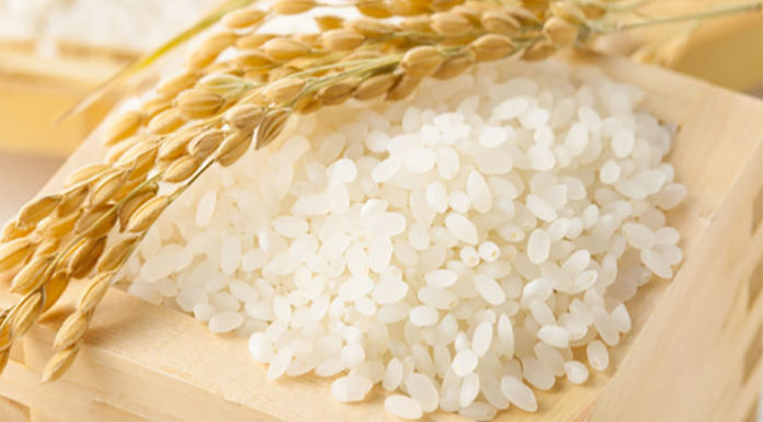 The Ultimate Guide to Rapid Weight Gain with These Foods