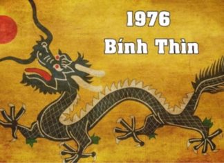 What is the Luck of People Born in the Year of the Fire Dragon 1976? Who and What Colours Are They Compatible With?