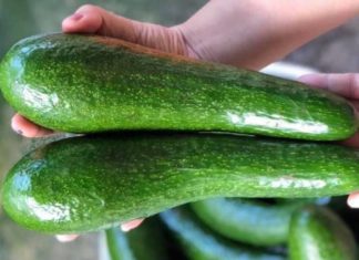 What is 034 Butter? How to Choose and Store Delicious 034 Butter?