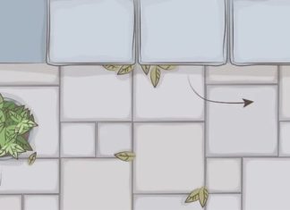 6 Quick and Easy Ways to Clean Your Driveway and Get it Ready for the Holidays