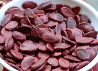 The Ultimate Guide to Choosing Delicious and Healthy Nuts for the Lunar New Year